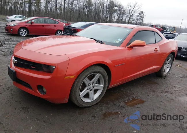 2G1FB1ED5B9126989: 44544341