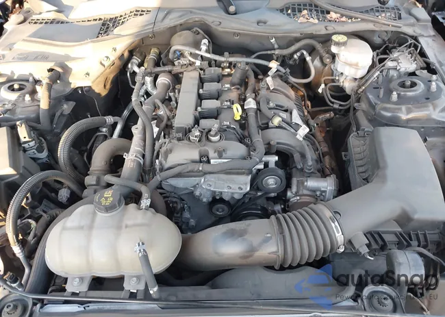 1FA6P8TH5M5127931: 44545850