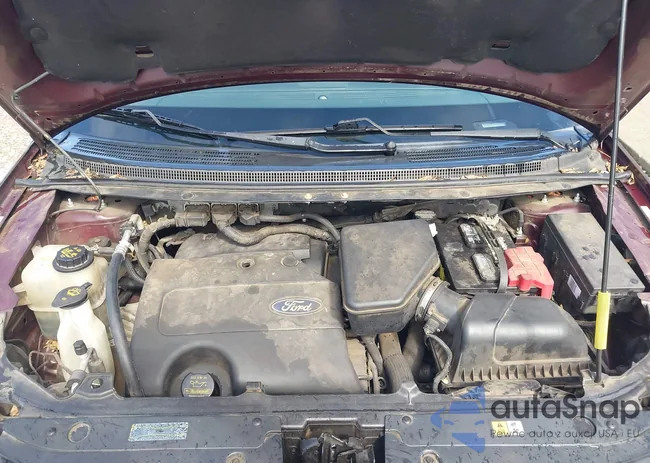 2FMDK3KC8BBA81752: 44546651