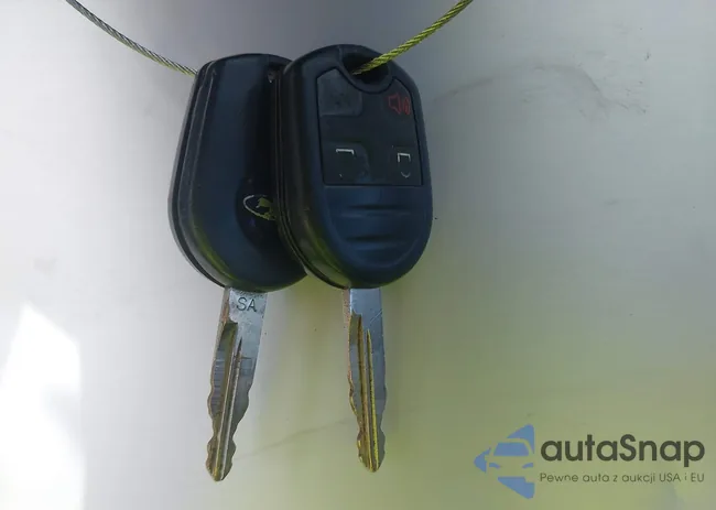 2FMDK3KC8BBA81752: 44546651