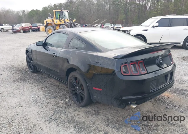 1ZVBP8AM0D5212925: 44546834