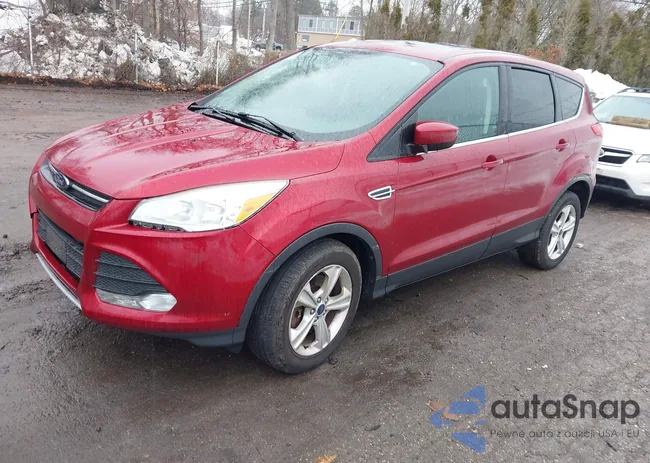 1FMCU9G99EUC72231: 44547718