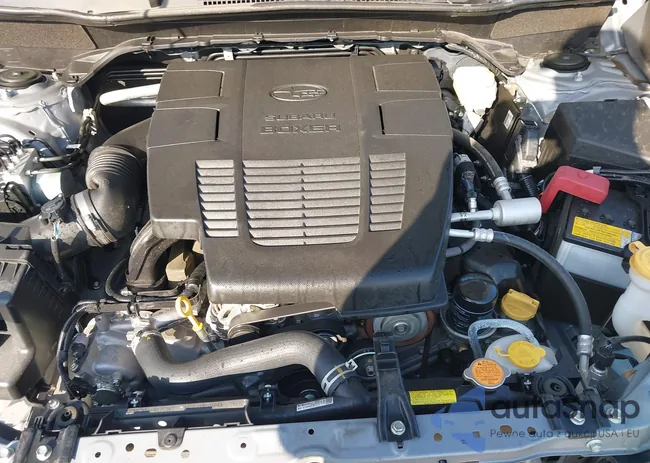 JF2SKAEC2PH527899: 44547326