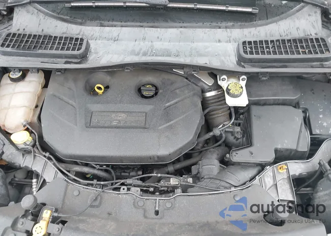 1FMCU9G9XDUA77205: 44548988