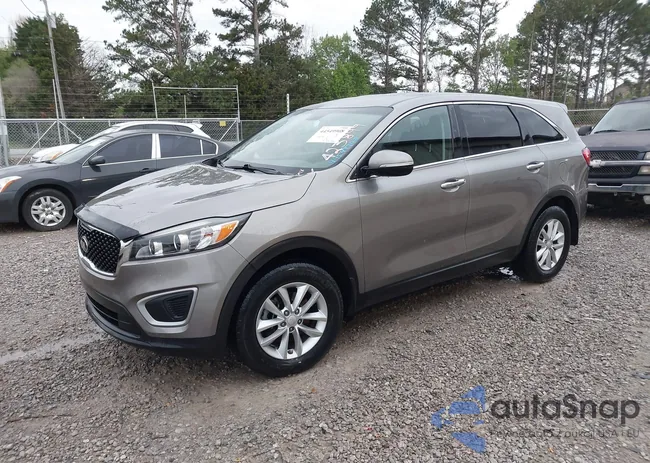 5XYPG4A31JG423899: 44549908