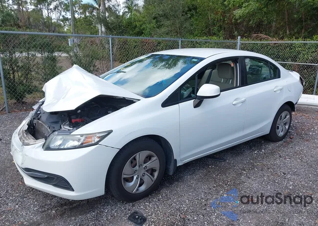 19XFB2F52DE092065: 44550118