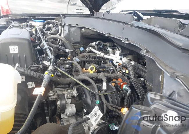 1FMSK7DH7PGB63835: 44549508