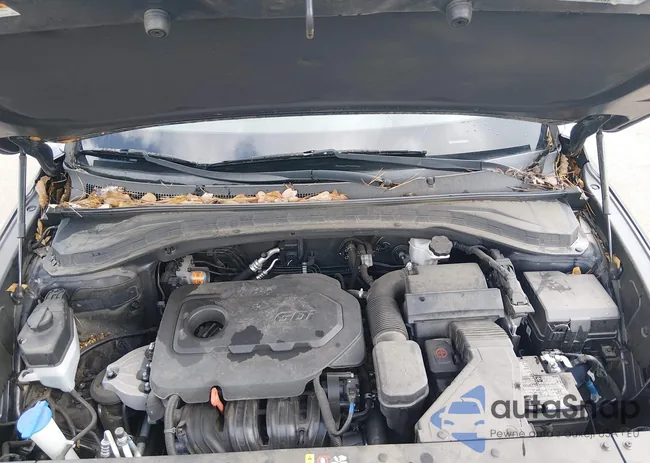 5NMS33AD0LH205955: 44549539