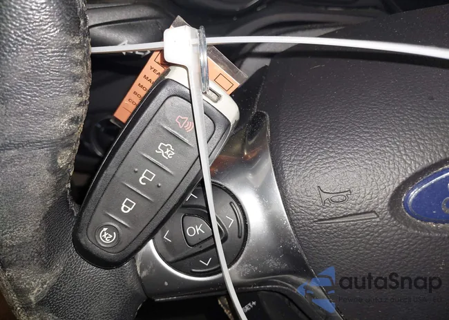 1FADP5DUXHL117141: 44550790