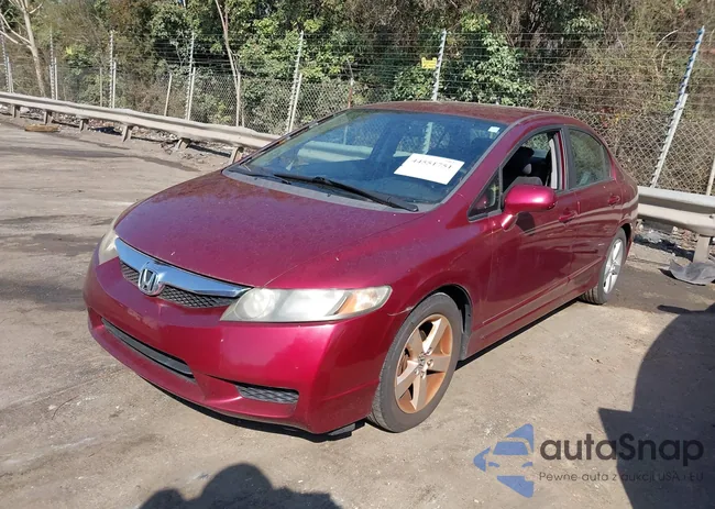 19XFA1F65BE024748: 44551751