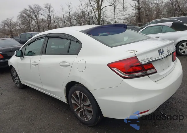 19XFB2F9XDE220166: 44551833