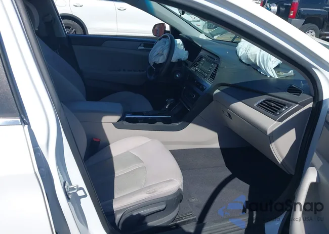 5NPE24AF2HH590808: 44553020