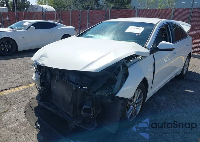 5NPE24AF2HH590808: 44553020