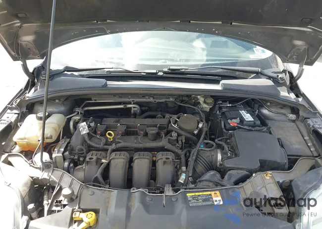 1FADP3F26DL315323: 44552147