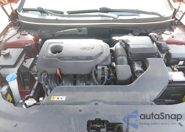 5NPE34AF8HH511557: 44553548