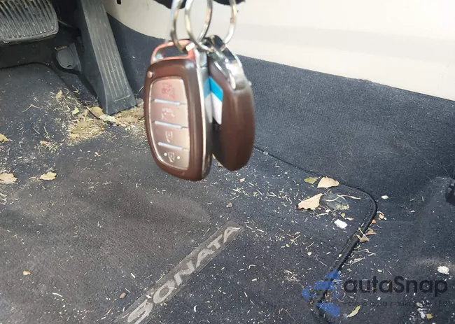 5NPE34AF8HH511557: 44553548