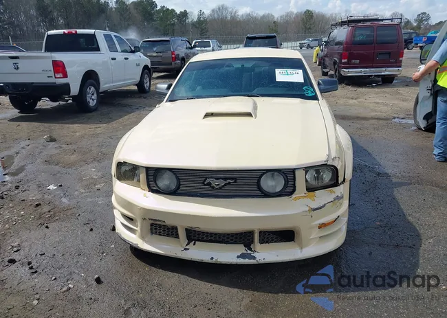 1ZVFT82H155181605: 44553646