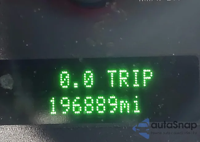 1ZVFT82H155181605: 44553646