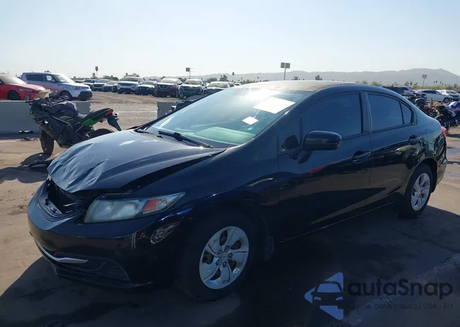 2HGFB2F52FH529328: 44554931