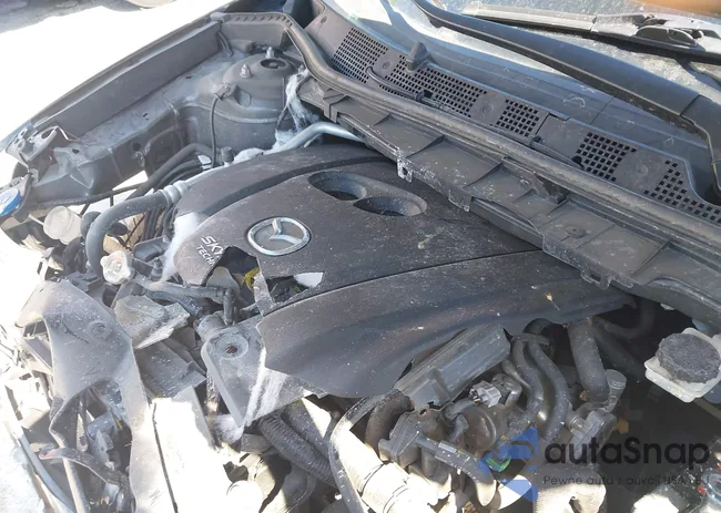 JM3KE4DY3F0513681: 44555607