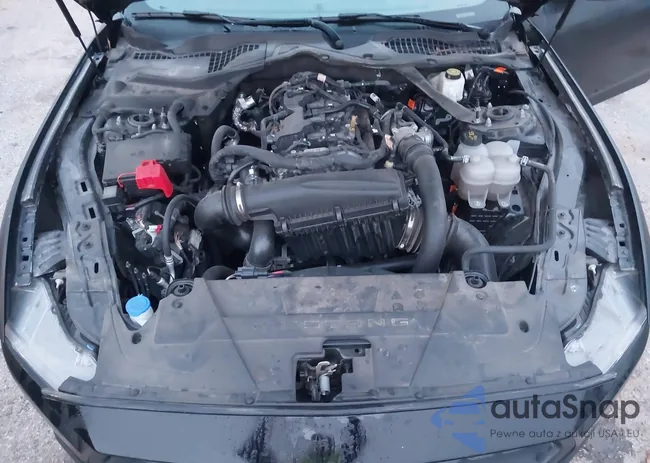 1FAGP8UH2R5132563: 44555954