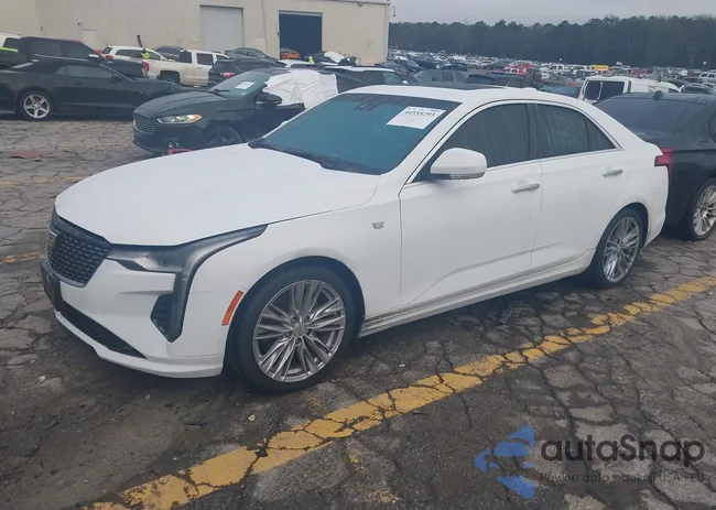 1G6DB5RL3M0130904: 44555293