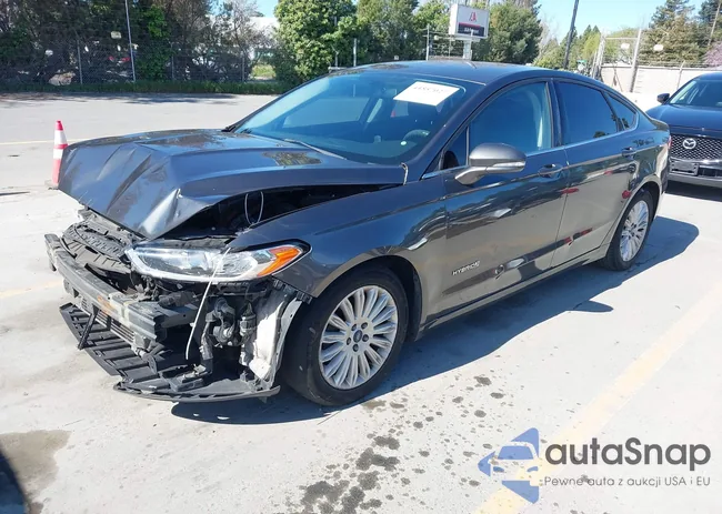 3FA6P0LU8FR281581: 44557027