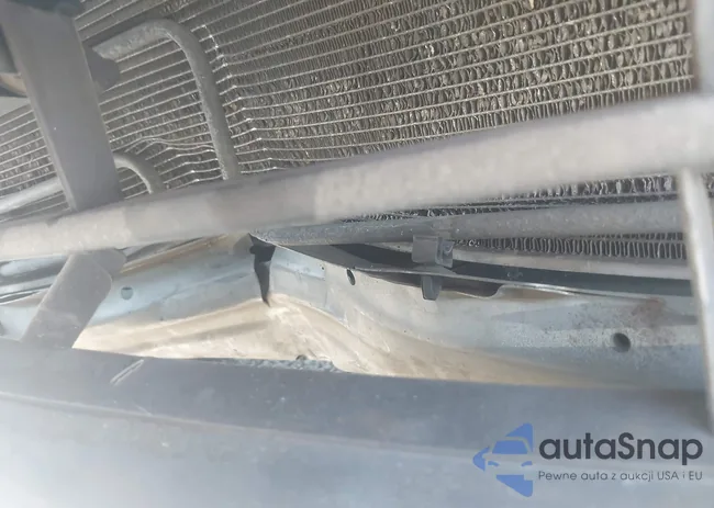 5FNRL38437B031388: 44556438