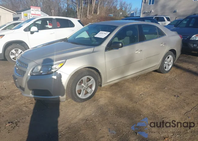 1G11B5SA5DF186003: 44557562