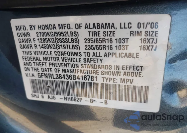 5FNRL38436B418781: 44558064