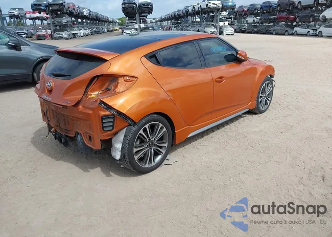 KMHTC6AE6GU301209: 44558720