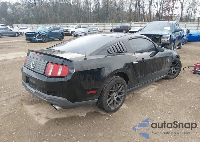 1ZVBP8AM8C5223394: 44558277