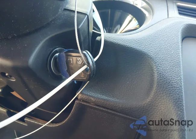 1ZVBP8AM5E5254069: 44559745