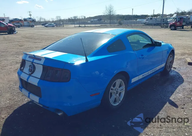 1ZVBP8AM5E5254069: 44559745