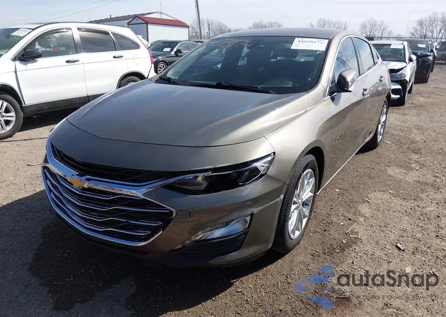 1G1ZD5ST9LF091456: 44559174