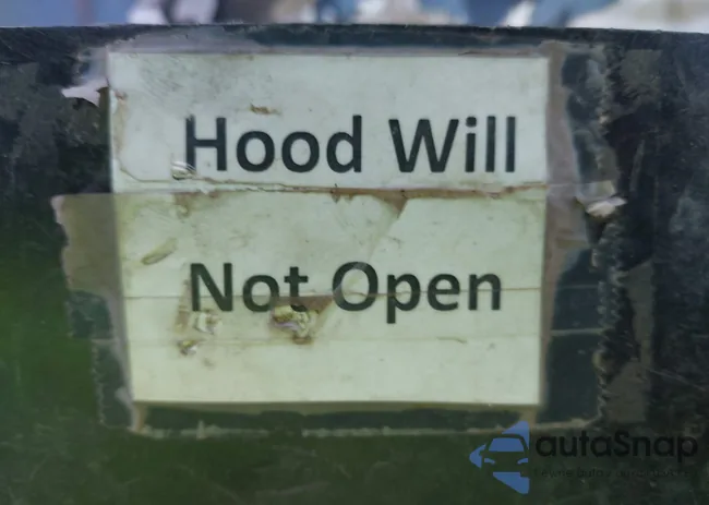 3GCPYFED2MG155155: 44559280