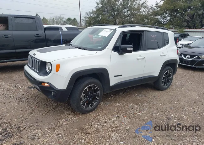 ZACNJDB1XPPP71454: 44560555