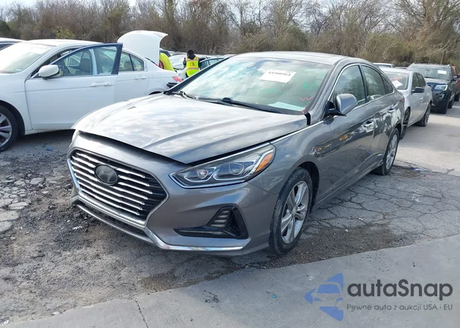 5NPE34AF0JH668053: 44560564