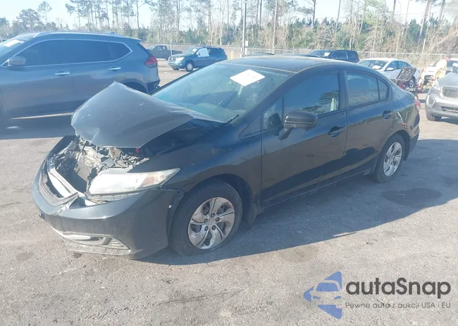 19XFB2F54FE121536: 44560853