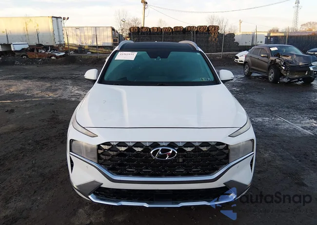 5NMS5DAL9PH485193: 44561031