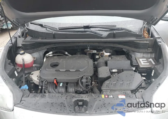 KNDPMCAC2M7920237: 44561843