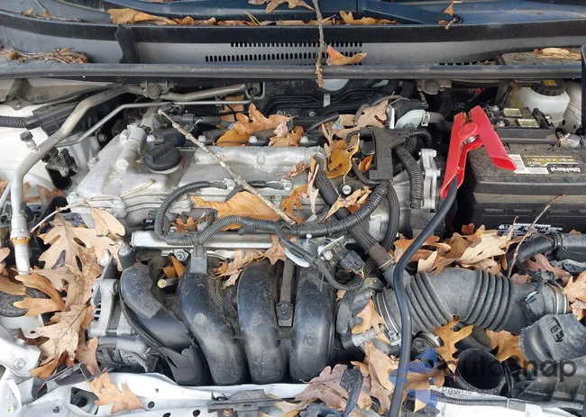 JTDEPMAE8MJ130014: 44561906