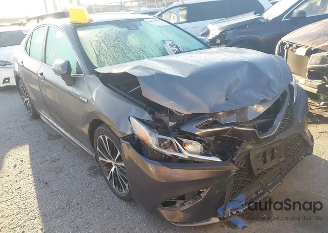 4T1G31AK1LU528859: 44561918