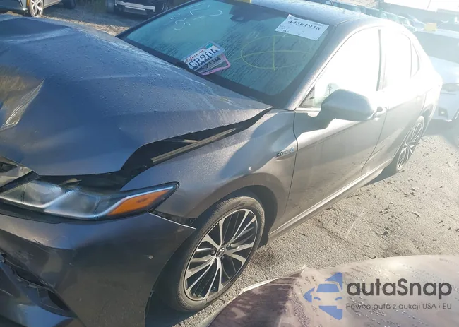 4T1G31AK1LU528859: 44561918