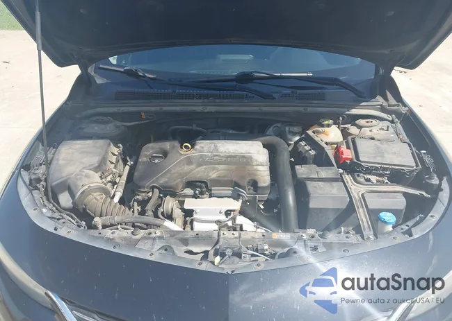 1G1ZB5ST4HF213136: 44562795