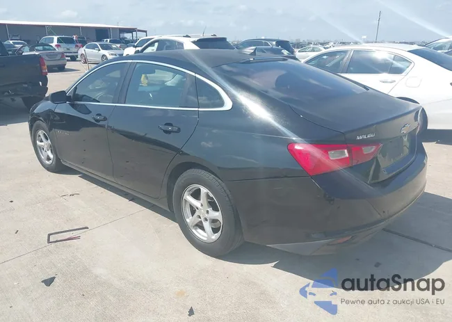 1G1ZB5ST4HF213136: 44562795