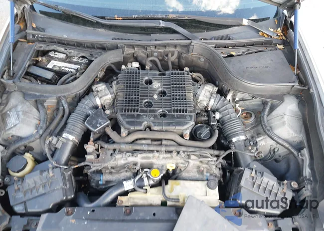 JNKBV61F97M809711: 44563634