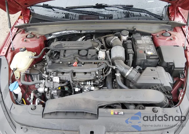 5XXG64J20RG256784: 44563953