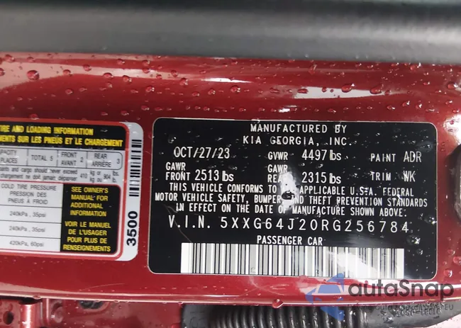 5XXG64J20RG256784: 44563953