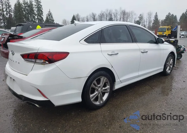 5NPE34AF0KH737907: 44563331